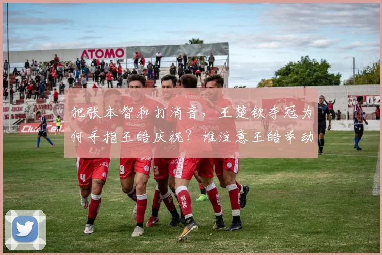 把张本智和打消音,王楚钦夺冠为何手指王皓庆祝?谁注意王皓举动