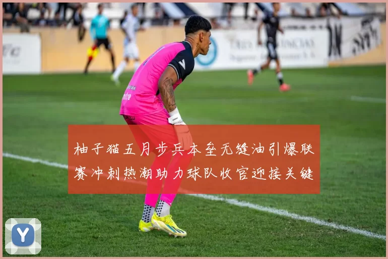 柚子猫五月步兵本垒无缝油引爆联赛冲刺热潮助力球队收官迎接关键