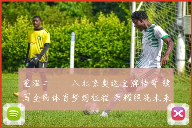 重温二〇〇八北京奥运金牌传奇 续写全民体育梦想征程 荣耀照亮未来路