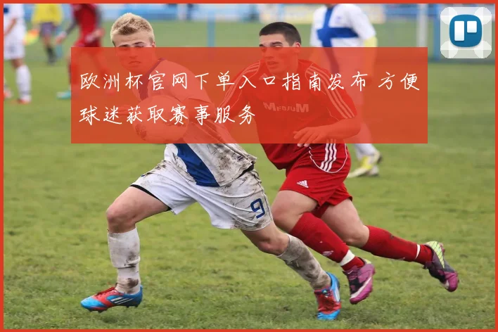 欧洲杯官网下单入口指南发布 方便球迷获取赛事服务